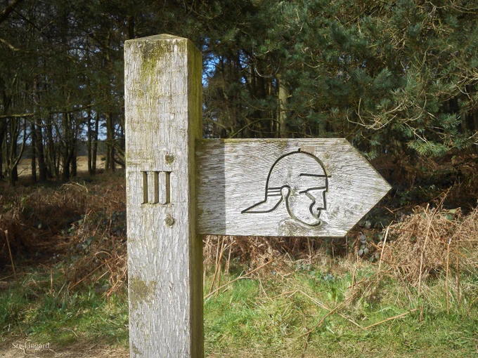 A photo of a wooden fingerpost, with 'III' marked on the post and an icon of a Roman soldier's head on it's sole finger, which points to the right.