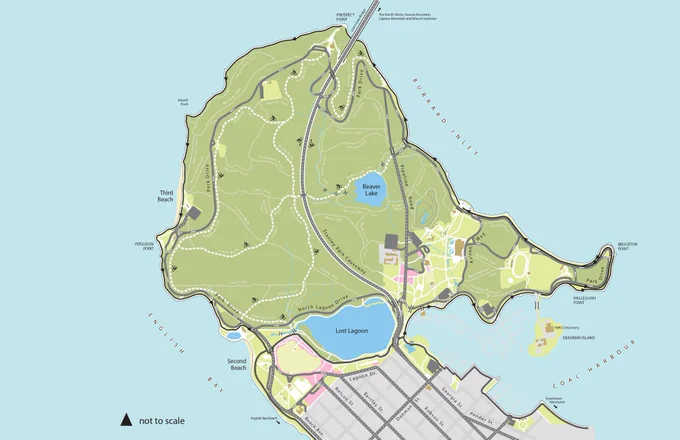 Explora los senderos de Stanley Park a pie o en bicicleta y disfruta de la belleza del bosque.