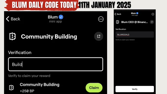 blum 11th jan code 