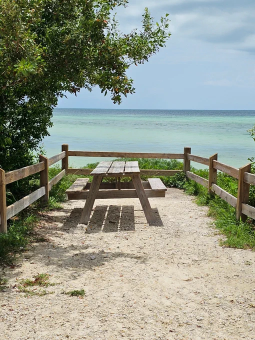 🌴 Made a stop at Bahia Honda State Park, claiming an oceanfront picnic table as the perfect spot to watch the rains pass by. 🌧️✨ There’s nothing like the soothing sound of waves and the peacefulness of this beautiful spot. Who else loves moments like this in paradise? 🌊💛 #BahiaHondaStatePark #FloridaKeysMagic #IslandLife #OceanVibes