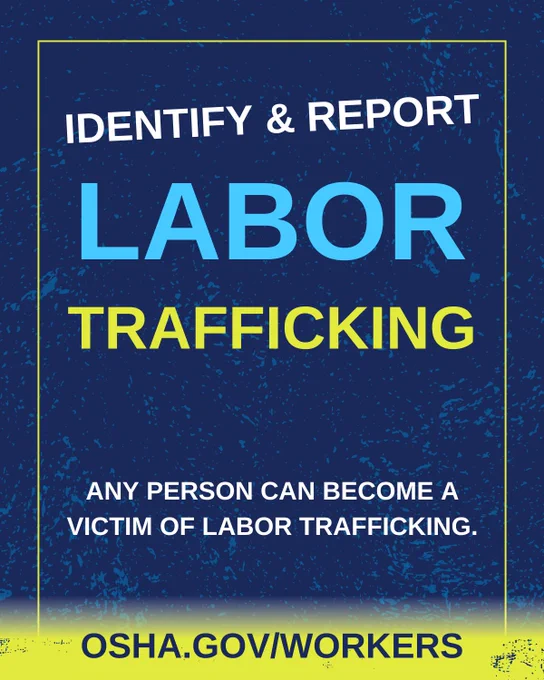 Poster titled 'Identify & Report Labor Trafficking' from OSHA, emphasizing the importance of recognizing and reporting labor trafficking victims, with website link OSHA.gov/workers for more information. Background is dark blue with light blue speckles.