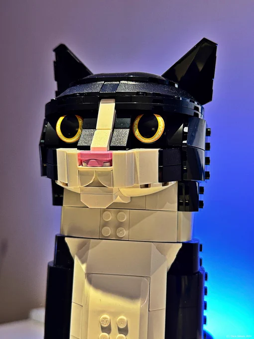 Tuxedo cat Lego model with a purple and blue background