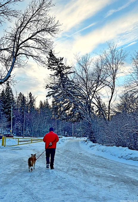 Man and dog walking away from the camera in a snowy park