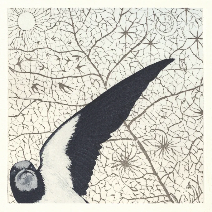 Gwilym Bowen Rhys' new album, 'Aden'