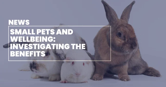 A news title card that reads 'Small pets and wellbeing: investigating the benefits' in white text against a transparent image of two rabbits and a guinea pig blue-tinted background. 