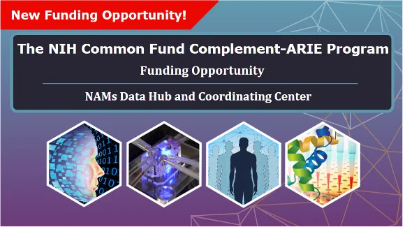 “New Funding Opportunity! The NIH Common Fund Complement-ARIE Program Funding Opportunity. NAMs Data Hub and Coordinating Center.” Four linear images are shown representing artificial intelligence, in vitro, in silico, and in chemico technology.