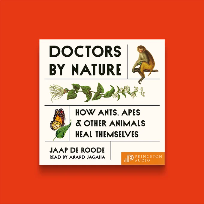 Audiobook cover of Doctors by Nature: How Ants, Apes, and Other Animals Heal Themselves by Jaap de Roode, read by Anand Jagatia