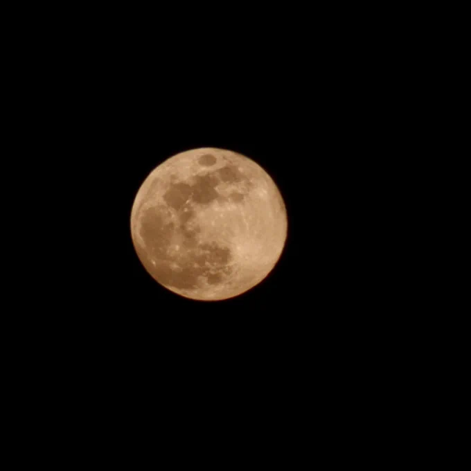 🌕 Absolutely stunning full moon last night—the first full moon of 2025 lit up the January skies in the most magical way! 🌴✨ Who else caught this incredible sight? Drop your pics and let’s see the beauty from every angle! 📸💛 

#FullMoon2025 #FloridaKeysMagic #MoonlitParadise #KeyWestVibes #WolfMoon
