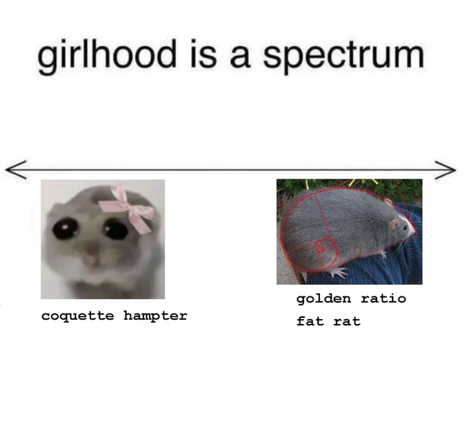 Girlhood is a spectrum. Coquette hampter (pictured is the large-eyed pouty hamster with a pink bow), or golden ratio fat rat (pictured is Blue the Rat, an iconic and large rat). Edit by me.