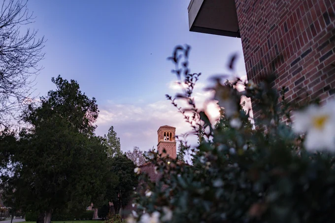 Trinity Bell Tower amongst green bushes at Chico State.
