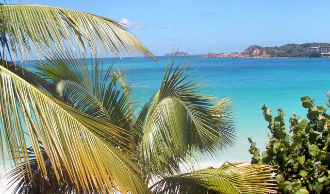 View of a tropical beach with clear turquoise waters, white sand, and lush greenery. Foreground shows vibrant palm leaves, with rocky hills visible in the distance.