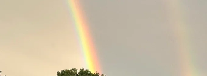 a rainbow in a hazy sky, a few tree tops barely visible