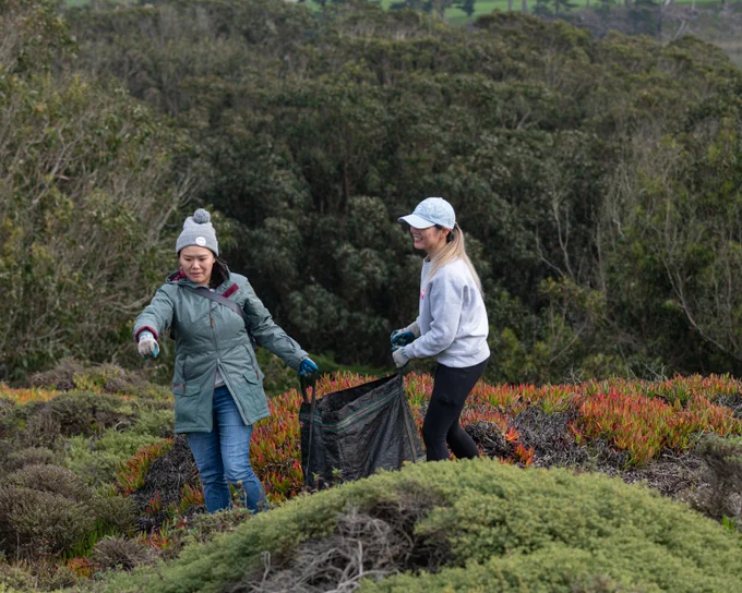 Two people carry a large bag through a field of bushes, flowers, and trees.