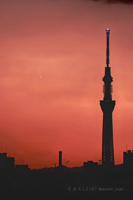 2025/1/15  17:11 JST
1/100秒露光×40（モノクロ撮影・輝度情報）＋1/100秒露光×10（カラー撮影・色情報）
EF-S55-250mmF4-5.6IS STM（250mm,F5.6）
EOS Kiss X9（ISO400,JPEG）
スターリーナイトフィルター使用
固定撮影（カメラ三脚使用）
千葉県市川市にて
※同一の元画像から彗星基準と地上景色基準それぞれでスタック後、両者を合成。
※軽めのトリミングあり。