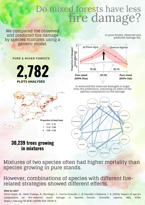 Peris-Llopis, M., Mola-Yudego, B., Berninger, F., Garcia-Gonzalo, J., Gonzalez-Olabarria JR. Impact of species composition on fire-induced stand damage in Spanish forests. Sci Rep 14, 8594 (2024). https://doi.org/10.1038/s41598-024-59210-4