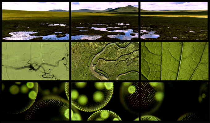 Caithness still from When Fish Begin to Crawl