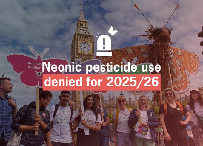 Group of butterfly and moth supporters standing outside the Houses of Parliament with butterfly-shaped signs and a giant Marsh Fritillary puppet. Text overlay reads 'Neonic pesticide use denied for 2025/26'