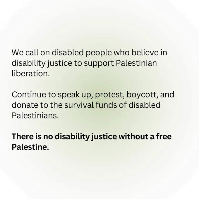 We call on disabled people who believe in disability justice to support Palestinian liberation. 

Continue to speak up, protest, boycott, and donate to the survival funds of disabled Palestinians. 

There is no disability justice without a free Palestine.