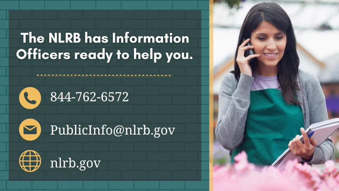 White text over a green brick background reads, "The NLRB has Information Officers ready to help you." A dotted yellow line separates that text from the following contact info: Phone: 844-762-6572. Email: PublicInfo@nlrb.gov. Website: nlrb.gov." Next to the text is a photo of a woman wearing a green apron, holding a clip board, and making a phone call.