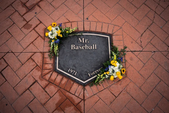 Mr. Baseball plaque with flowers