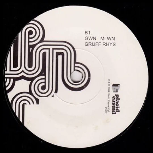 Gruff Rhys's double B-side debut single, Gwn Mi Wn / Ni Yw Y Byd; side B1 (7-inch)
