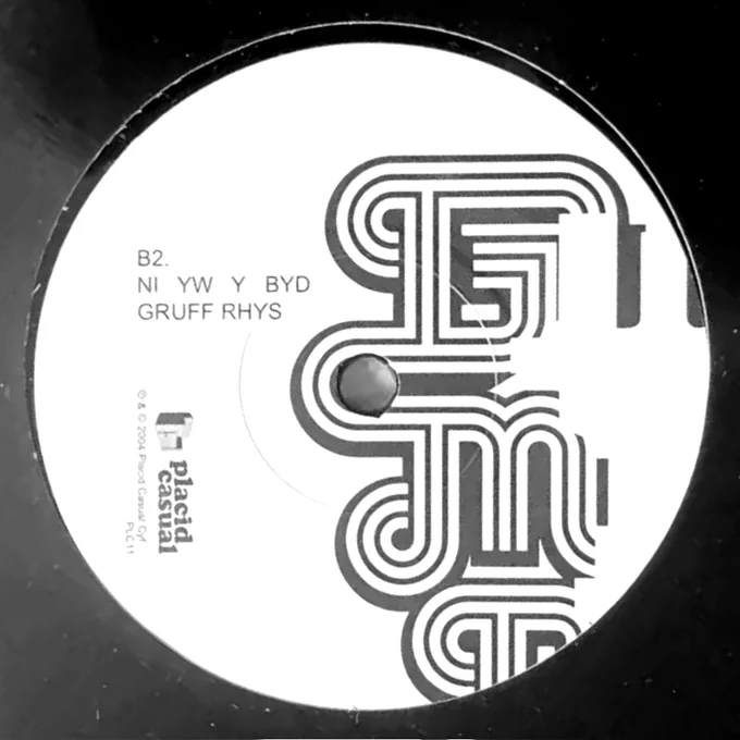 Gruff Rhys's double B-side debut single, Gwn Mi Wn / Ni Yw Y Byd; side B2 (7-inch)