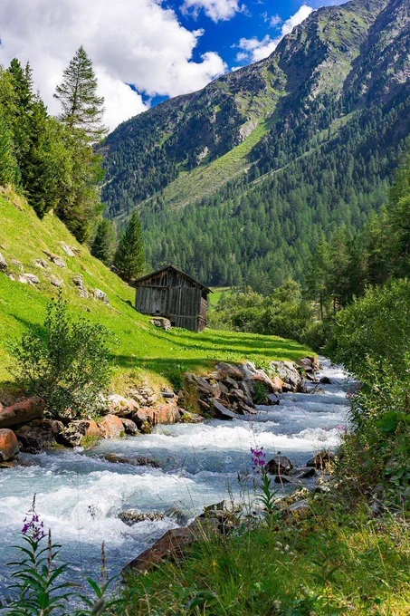 The photograph captures a pristine alpine landscape. A swiftly flowing river, white with rapids, meanders through the foreground, its banks lined with rocks and vibrant green grass. Pink wildflowers dot the riverbank, adding a splash of color. In the middle ground, a rustic wooden cabin stands on a grassy patch, bathed in sunlight. The background showcases towering, tree-covered mountains, their peaks shrouded in clouds. The sky above alternates between patches of blue and fluffy white clouds, completing the idyllic scene.