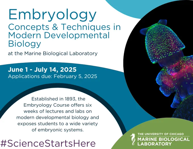 A flyer for the MBL's 2025 Embryology course