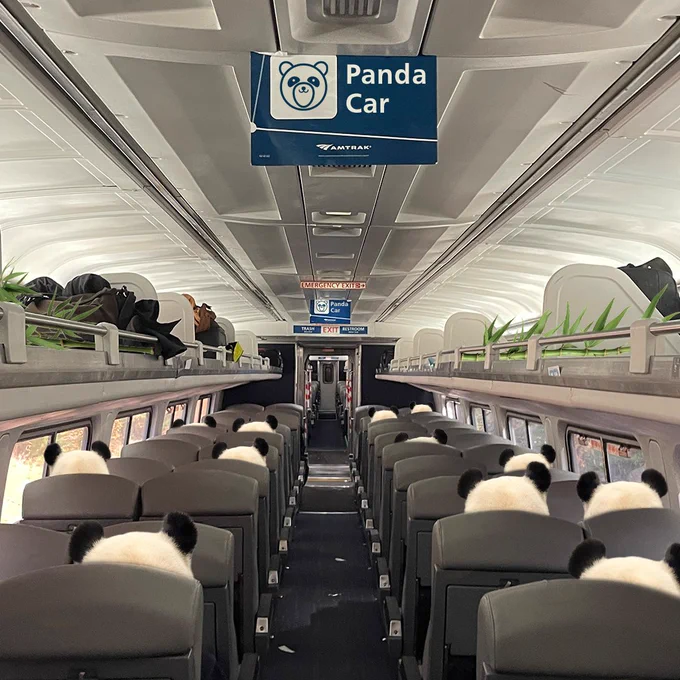 The Quiet Car has been renamed the "Panda Car," with a whimsical sign featuring a cartoon panda. The two rows of seats are occupied by pandas and distinctive black-and-white ears are visible above the headrests. The overhead luggage racks are adorned with bamboo shoots, adding a playful touch to the setting.