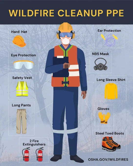 Infographic titled 'Wildfire Cleanup PPE' from OSHA, depicting a person in safety gear including a hard hat, eye protection, N95 mask, safety vest, long sleeve shirt, gloves, long pants, and steel-toed boots. Also shows images of two fire extinguishers. Background features a subtle tree and smoke design.