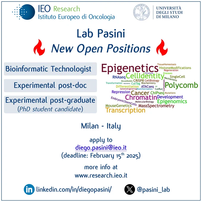 We are looking for different sceintific figures to work in our lab:
Bioinformatic technologist
Experimental Post-doc
Experimantal post-graduate
The full job description and related info can be found at this link:
https://ieo-my.sharepoint.com/:b:/g/personal/ieo1616_ieo_it/Ecg4krXuYgFFj4mq4714lzIBQyypB3OS_1PZ1MkN-aEjBg?e=jneVov