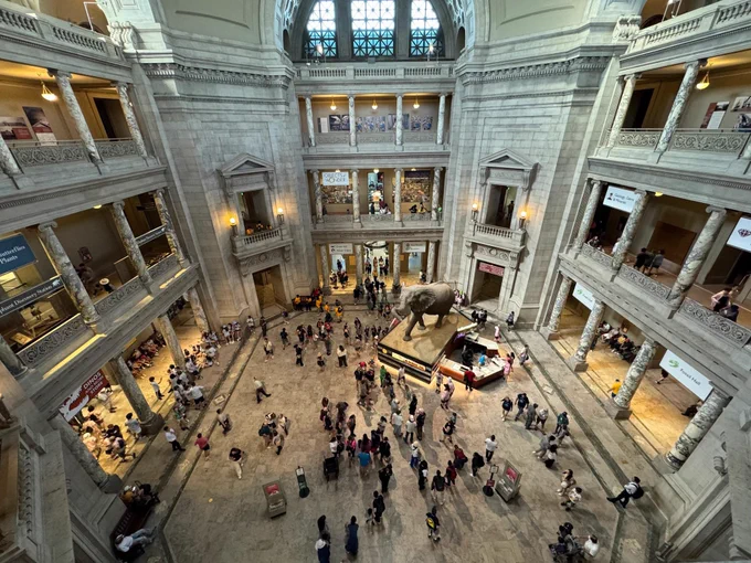 Interior lobby of Natural History Museum including Elephant and people walking around.