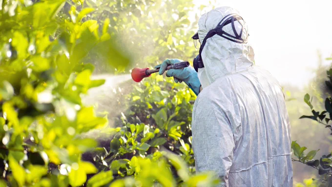 Person in protective suit and mask spraying plants in a sunny orchard.