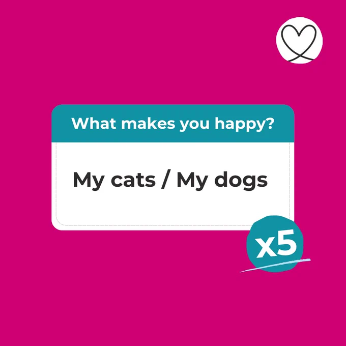 My cats / My dogs (we received this answer five times!)