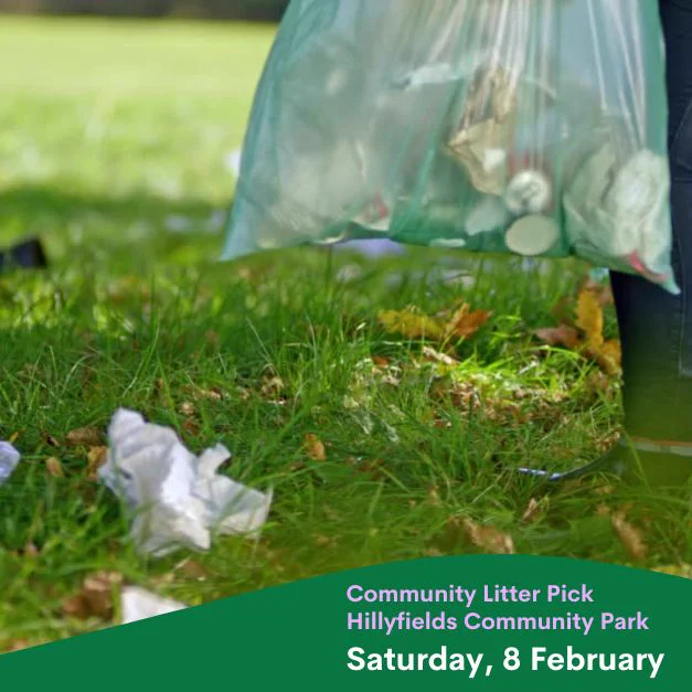 photo of litter on grass with someone holding a plastic bag full of rubbish