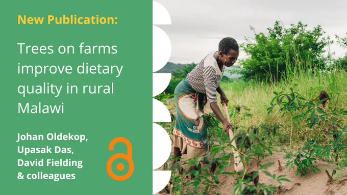 New publication: Trees on farms improve dietary quality in rural Malawi. By Johan Oldekop, Upasak Das, David Fielding and colleagues. Open access. 