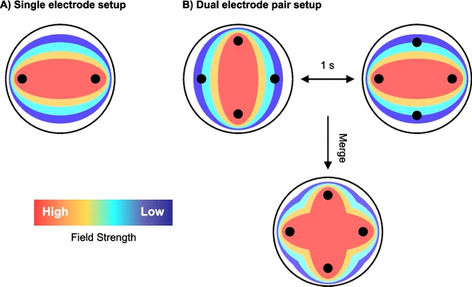 Schematic drawing showing electric field distribution of two different electrode setups, where red shows the highest electric field strength and dark blue shows the lowest electric field strength. A Single electrode setup where electric field orientation remains constant between the single pair. B Dual electrode setup where electric field orientation changes orientation by 90° every 1 s. Merged electric field distribution combining both orientations shown

