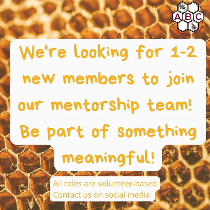 We're looking for 1-2 new members to join our mentorship team! All roles are volunteer-based. Apply now and make a difference! Contact us on social media.