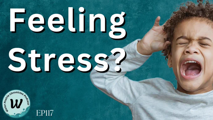 A green background with white text at the top, “Feeling stress?” A young African-American boy is pictured to the tight with his eyes closed and his hands beside his head and his mouth is open as if he is frustrated and yelling. He is wearing a long sleeve gray shirt.