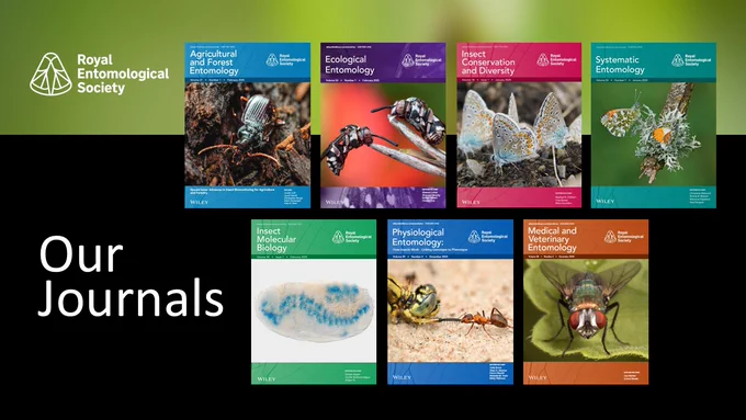 Cover images of the RES journals