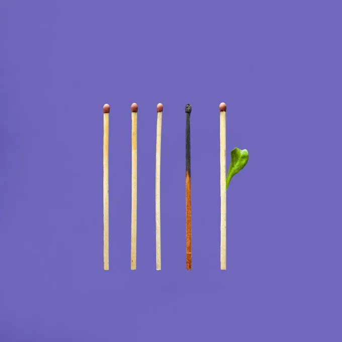 Five matches. The fourth is burned. The fifth is sprouting a leaf.