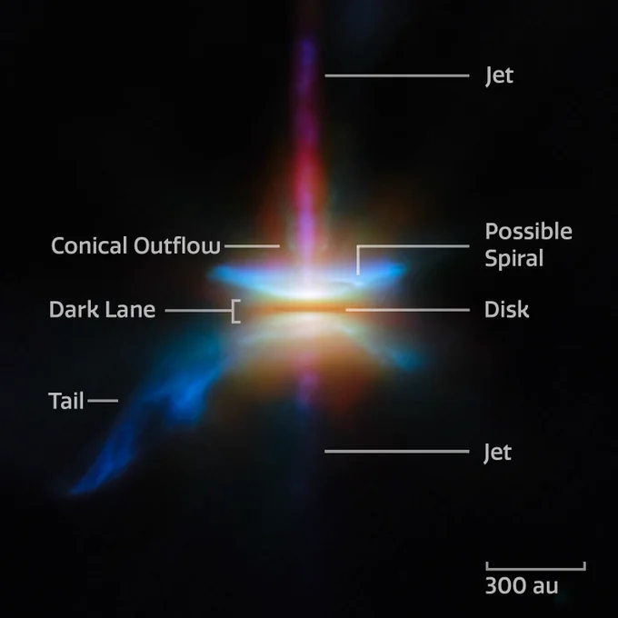 A close-in image of protoplanetary disc HH 30. Parts of the image are labelled “Jet” (above and below the disc), “Conical Outflow”, “Possible Spiral”, “Dark Lane”, “Disk”, and “Tail”. A scale marker in the bottom-left is labelled “300 au”; this is a little wider than the disc itself, but less wide than the conical outflows above and below the disc.