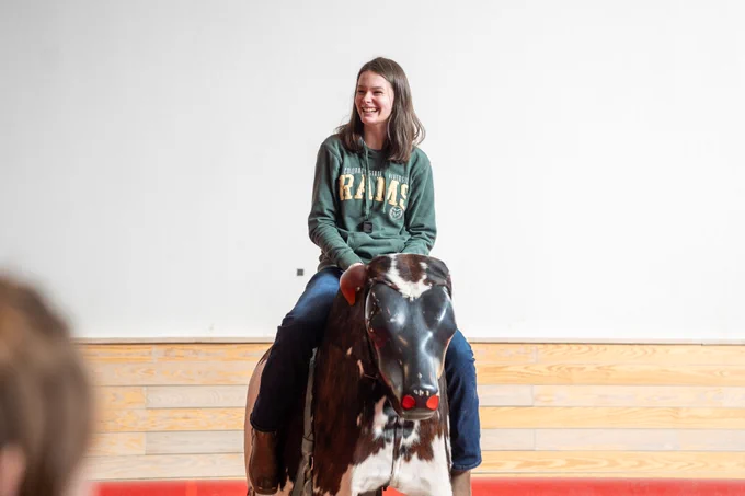 Young child being smiling while sitting on a makeshift bull
