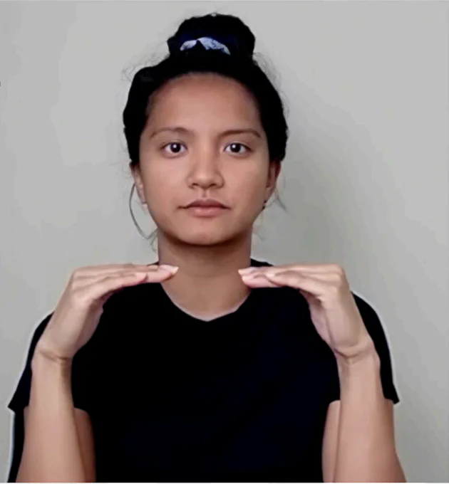 An illustration of the equal gesture used in the study. 