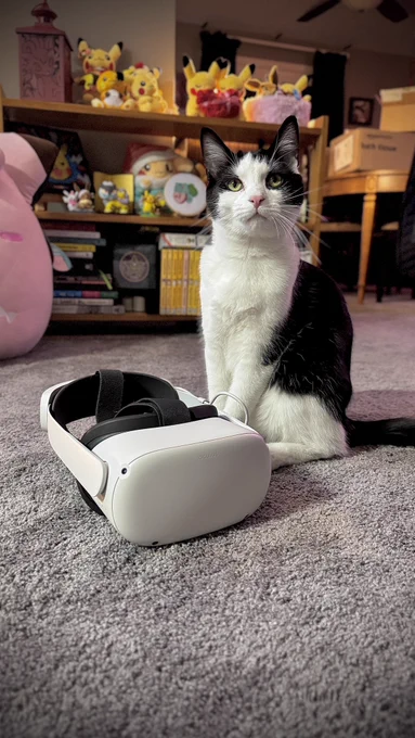 Tuxedo colored young cat sitting on a livingroom floor next to the headset of an Oculus quest video game system