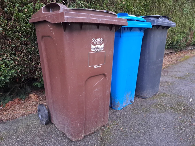 A brown bin, blue bin and black bin in a line in front of a hedge.