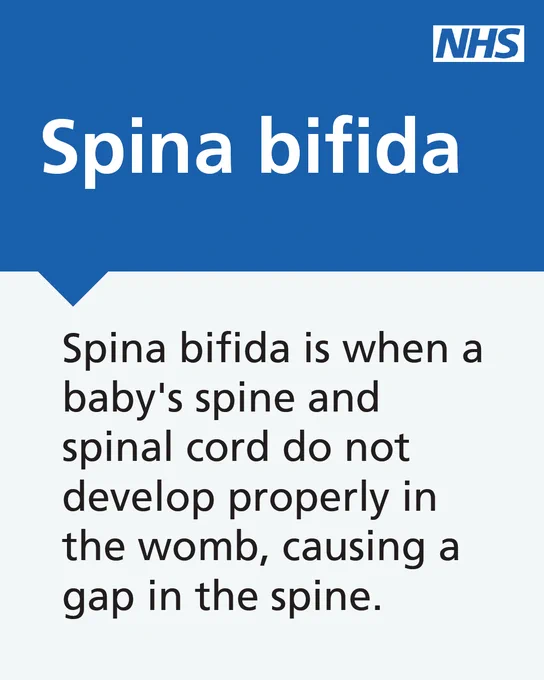 Spina bifida is when a baby's spine and spinal cord do not develop properly in the womb, causing a gap in the spine.