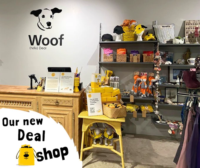The photo shows a large wooden desk with a till on it and shelves of items next to it. The wall behind the desk has the Dogs Trust Homer logo in black and underneath writing says 'Woof. (Hello) Deal.