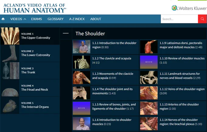 Screenshot of the Acland's platform, showing a library of videos related to the shoulder.