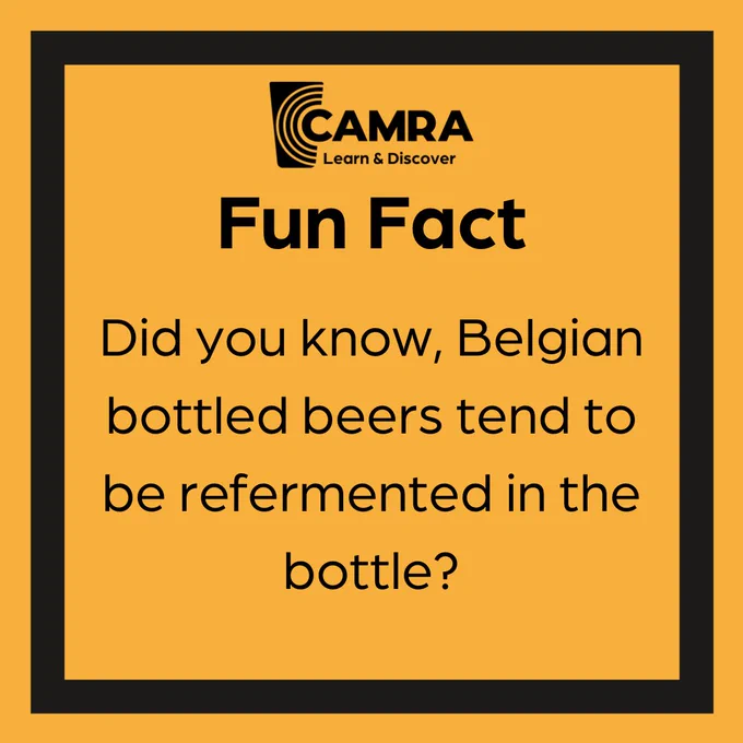 A Learn and Discover Fun Fact stating Did you know, Belgian bottled beers tend to be refermented in the bottle? with an amber background and black border.